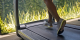 Top 5 Best Treadmills for Home Workouts in 2026